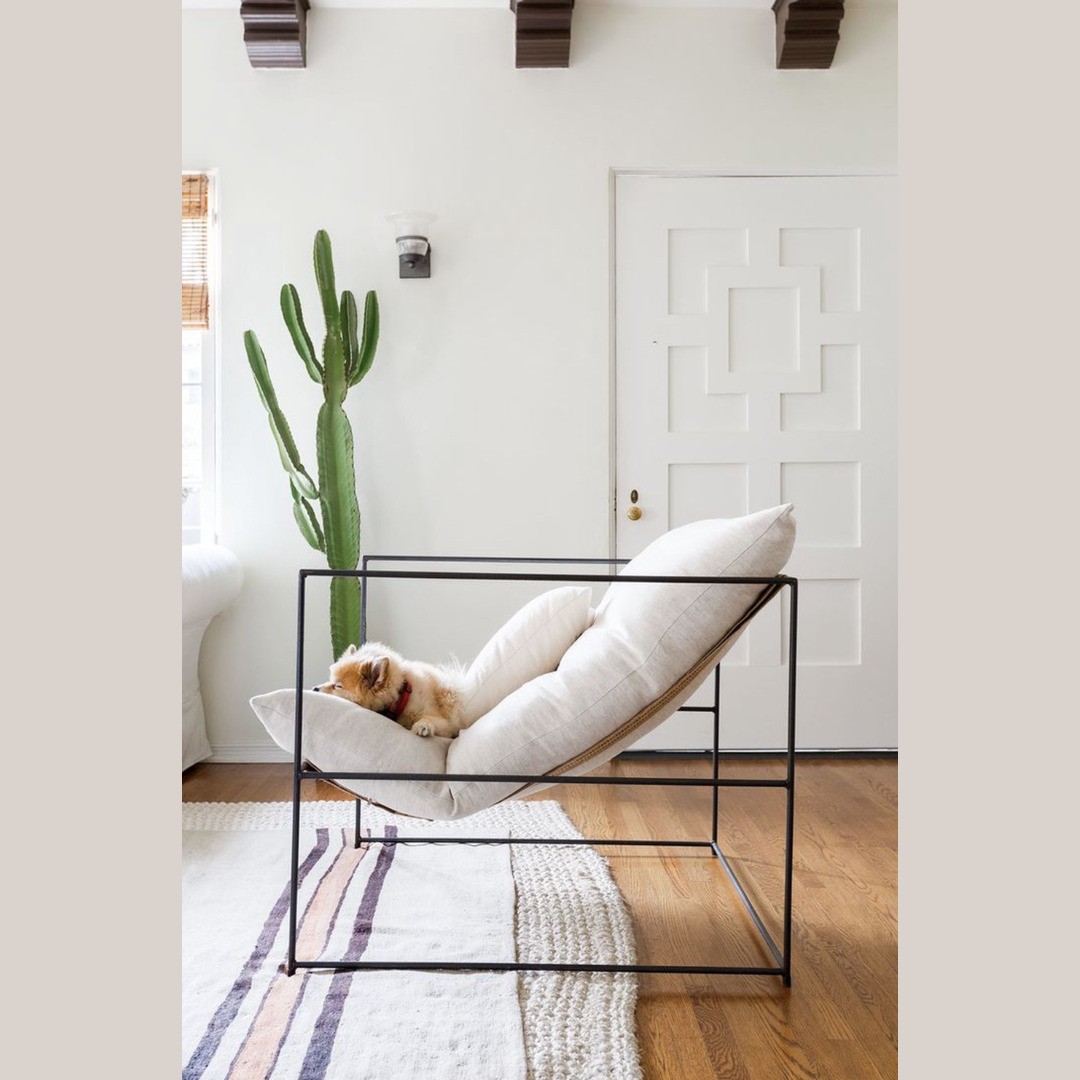 Modern Minimalist Metal Frame Sling Lounge Chair with Plush Cushion